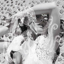 Björk - Vespertine - LP - Standard Edition (2 stuks)
