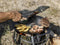 Atago Inzetbaar Grillrooster