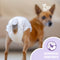 EasyPets Hondenluiers Teef - Wegwerpluiers - Ademend & Comfortabel - S/M (30 stuks)