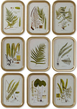 Schilderij DKD Home Decor Modern Botanische planten 30 x 2 x 45 cm (9 Stuks)