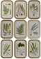 Schilderij DKD Home Decor Modern Botanische planten 30 x 2 x 45 cm (9 Stuks)