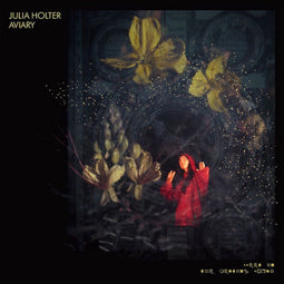 Julia Holter - Aviary - 2xLP - Ondoorzichtig vinyl (2 stuks)