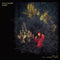 Julia Holter - Aviary - 2xLP - Ondoorzichtig vinyl (2 stuks)