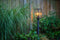 Garden Lights: Limosa 90 Buitenlamp 12 Volt - Zwart