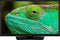 Lenco DVL-2483BK - Smart TV 24