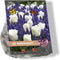 Baltus - Urban Flowers Borders Beauty per 25 bloembollen