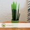 Plant in a Box - Sansevieria Cylindrica - Velvet Touchz - Vrouwentong - Inclusief Groene Decoratieve Pot - Hoogte 20-40cm - Pot 9cm