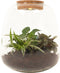 Plant Puzzel ® Discover the World Ecosysteem met verlichting - Broekhof Adding Value - Groene plant- Hoogte 25 cm