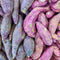 Plant in a Box - Ipomoea batatas - Ipomoea Zoete Aardappel - Set van 3 - Pot 10,5cm - Hoogte 10-15cm