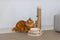 Designed by Lotte Inez - Krabpaal - Multifunctioneel met speeltoren - Bruin - 38x24,5x47,5 cm
