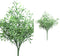 PTMD Twig Plant Podocarpus Bos Kunsttak - 23 x 28 x 36 cm - Groen