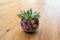 TS Collection - Bloempot Polly pink - 24x21 - Metaal & Epoxy - Exclusieve woonitems voor binnen - Handgemaakt - Unieke print - Designed by Lammie