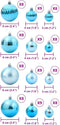 vidaXL - Kerstballen - 100 - st - Ø3/4/6 - cm - turquoise