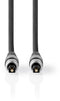 Nedis CAGC25000AT50 - Optische audiokabel - 500 cm - Grijs