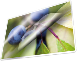 Kangaro lamineerhoes - A3 - 80 micron - glanzend - 100 stuks - K-16010