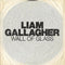 Liam Gallagher - 7