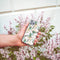 iMoshion Hoesje Geschikt voor Samsung Galaxy A51 Hoesje Siliconen - iMoshion Design hoesje - Goud / Meerkleurig / Groen / Golden Peacock