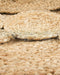 GOLGEN - Laagpolig vloerkleed - Beige - 120 cm - Jute
