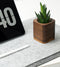 Oakywood Cubic Plant Pot - Massief Walnoot - Luxe Houten Kleine Plantenpot Bureauaccessoire