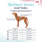 Company of Animals - Anatomy Halti - Honden Harnas - Grijs - Maat XS - Nekomvang: 20-32 cm - Borstomvang: 32-44 cm
