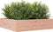 vidaXL - Plantenbak - 90x90x23 - cm - massief - douglashout