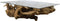 Salontafel - teak wortelhout - 120x70 cm
