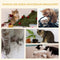 PawHut D30-326 - Kattenkrabpaal - 3 niveaus sisal en zeewier - Kaki en bruin