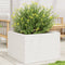 vidaXL - Plantenbak - 70x70x46 - cm - massief - grenenhout - wit