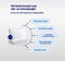 Hoofdkussen - Memory Foam - Afstelbaar Design - 180 Nachten Proefslapen
