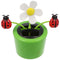 Solar Wiggle Flower - Potplant met Lieveheersbeestje - Beweegbare Bloem
