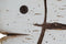 Decoratieve figuren Home ESPRIT Wit Natuurlijk Vis Verouderde afwerking (2 Stuks)