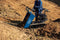 Scheppach DP4500 - Gemotoriseerde Kruiwagen - 400 kg laadvermogen - Neutraal