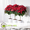Plant in a Box - Euphorbia pulcherrima op stam - Set van 2 - Poinsettia kamerplant - Kerstsfeer - Groene bladeren en rode bloemen - Pot 17cm - Hoogte 60-70cm