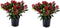 Plant in a Box - Skimmia japonica 'Rubella' - Set van 2 - Pot 15cm - Hoogte 35-45cm