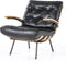 Goossens Bastiaan fauteuil Leer