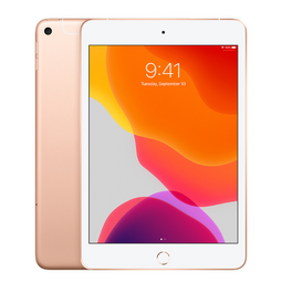 iPad Mini 5 (2019) 256GB WiFi & Cellular (Simlockvrij) / SV - Goud