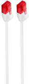 UTP Category 6 Rigid Network Cable Ewent White