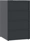 vidaXL - Containerberging - 3 - containers - 207x79x117 - cm - staal - antraciet