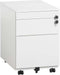 Ladeblok 2 laden met pennenlade bladkleur Speciale Kleur framekleur Wit (RAL9010)