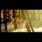 Childish Gambino - Camp - 2 LP