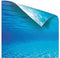 Juwel Aquarium Decoratie - Poster - S - 60 x 30 cm