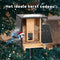 BIRDFY Bamboo 7 Days - Vogelvoederhuisje - Camera AI - Wit