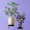Emerald - Kunsttak Eucalyptus met vruchten 80cm groen - Kunstplanten voor binnen