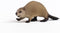 Schleich WILD LIFE - Bever - Gedetailleerd figuur