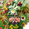 Good Loot - Ernst Haeckel Orchidea / Orchid Puzzel - Puzzel 1000 Stukjes