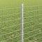 vidaXL - Hekpalen - 5 - stuks - U-Channel - 60 - cm - Gegalvaniseerd - Staal