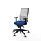 Piqueras y Crespo 1D066G0 - Bureaustoel - Verstelbare hoogte met armleuning - Blauw