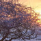 Customize it - Tuinschilderij winter wnderl 130x70