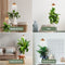 Parus by Venso SUNLiTE Kweeklamp 7W koper, LED groeilamp met telescopische staaf, groeilamp voor kamerplanten en groene planten