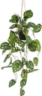 Emerald - Kunst Hangplant in pot Monstera Monkey 80cm - Kunstplanten voor binnen